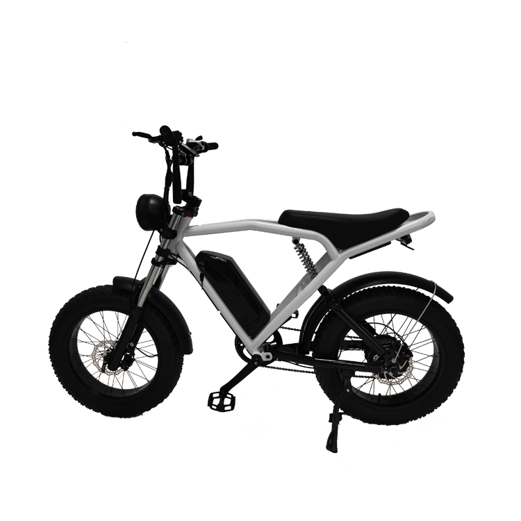 Rear Hub Motor 20*4.0'' Fat Tire Electric Bicycle E-Bike For Market