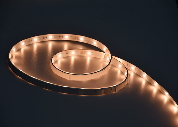 DC12V Indoor Night 7W/M 25000H RGBWW LED Strip kit