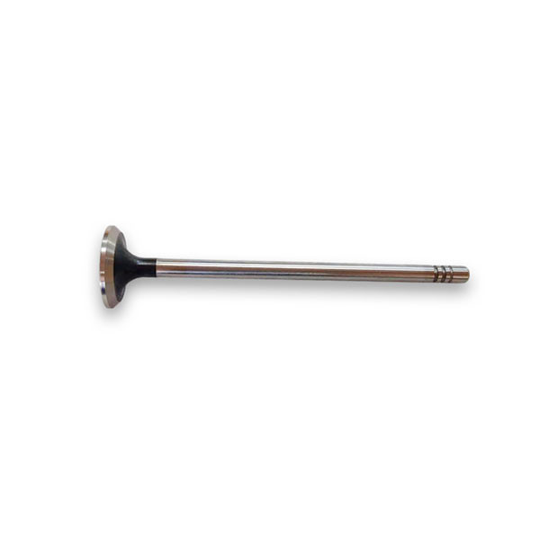 E345C E345D E349D Excavator Engine Parts C11 C13 Intake Valve Exhaust Valve 252-7802 224-3030