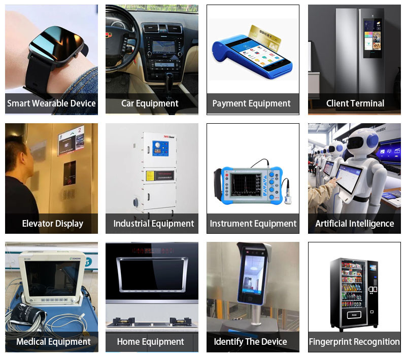10.1 Inch IPS LCD Display 1024x600 101 Screen With RGB Interface