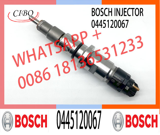 0445 120 067 common rail fuel injection system 0986435549 diesel fuel injectors 0445120067 for VOL ec210