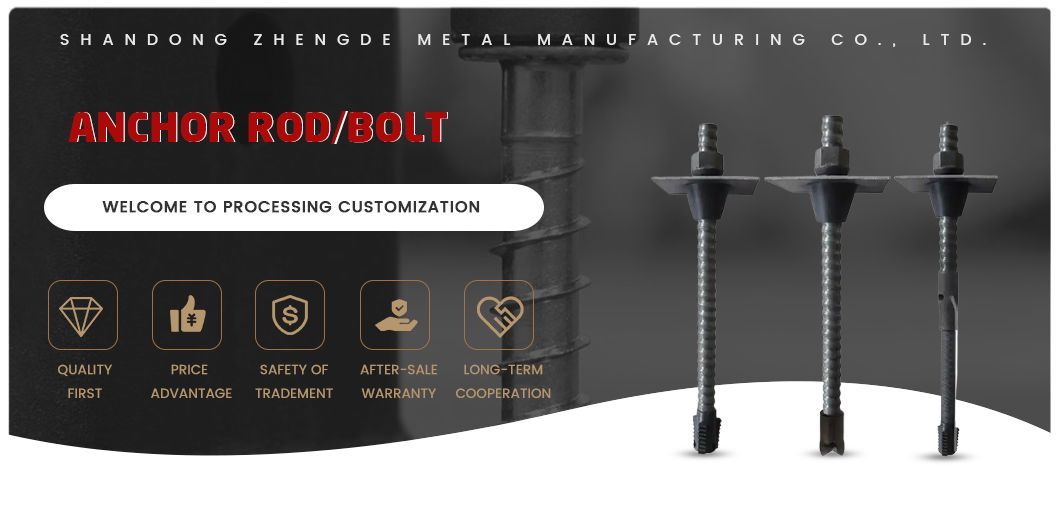 Carbon Steel Expansion Wedge Anchor/Drop in Anchor/ Sleeve Anchor Rod with Factory Price