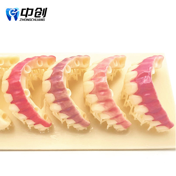 Pink Opaque Gum Color Light-cured Resin With Base Color Blocking