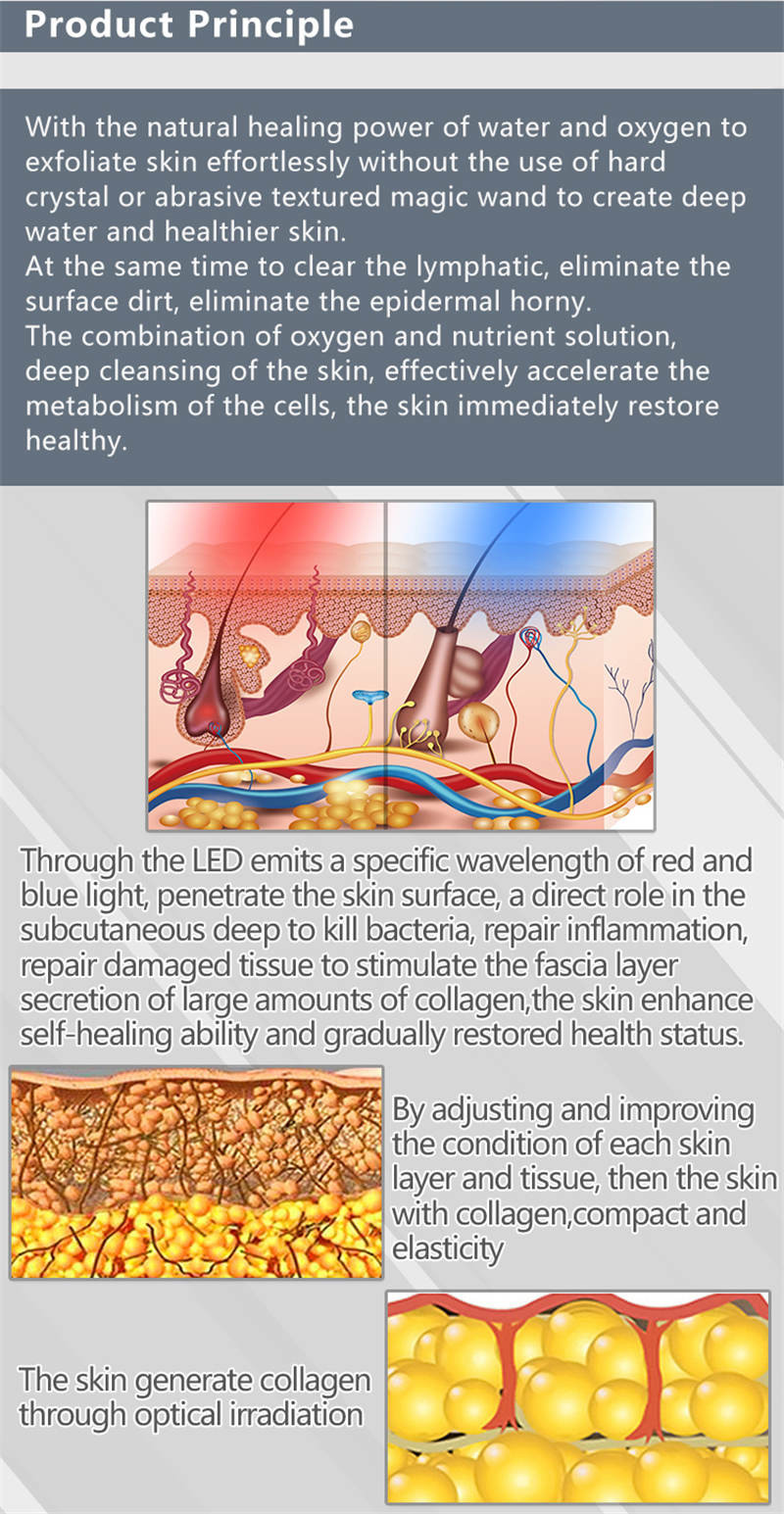Skin Whitening Photodynamic Therapy Machine , Infrared Light Therapy Equipment