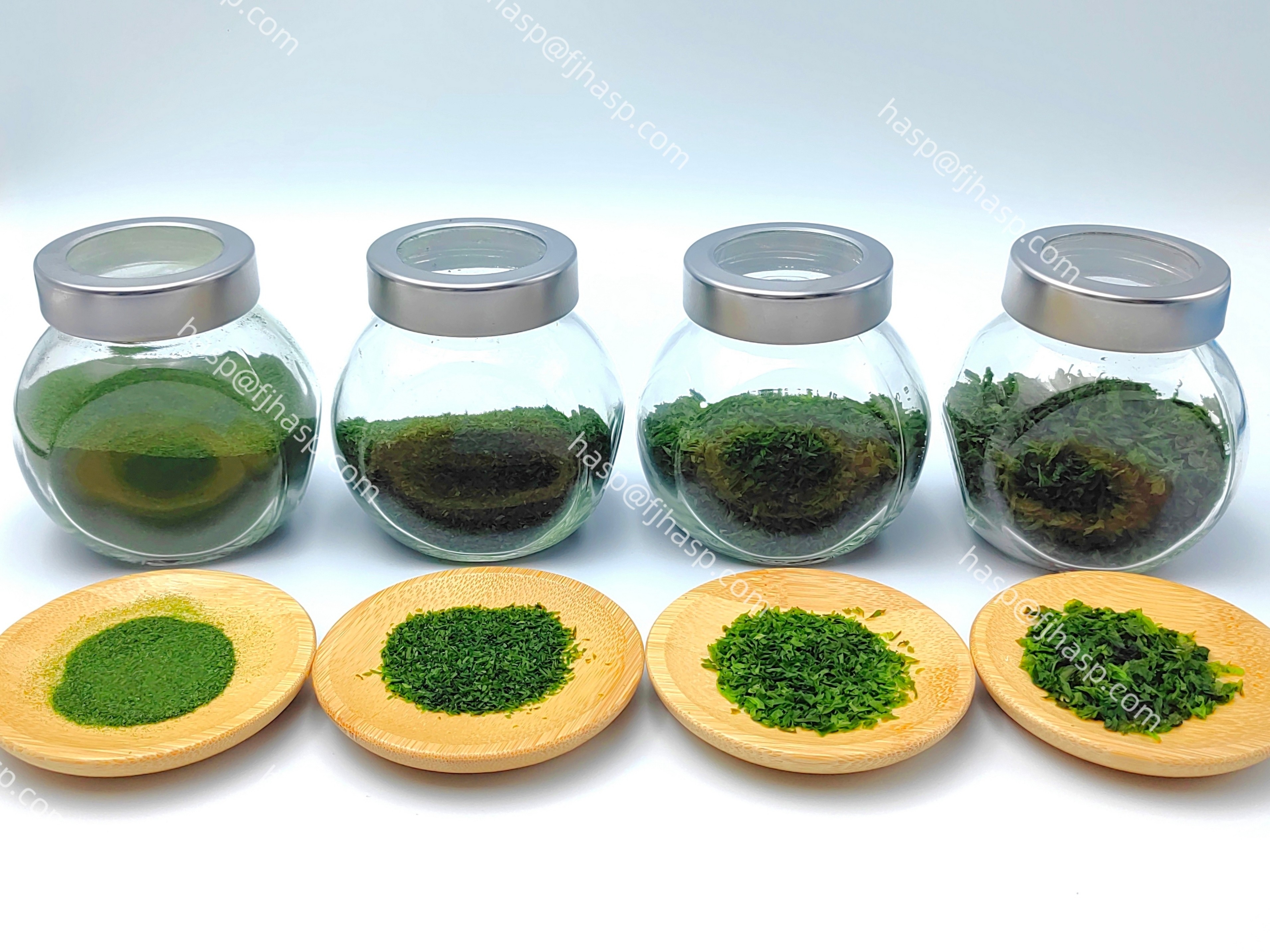 Umami Flavor Green Aonori Powdered Seaweed with Smooth Fine Powder Texture