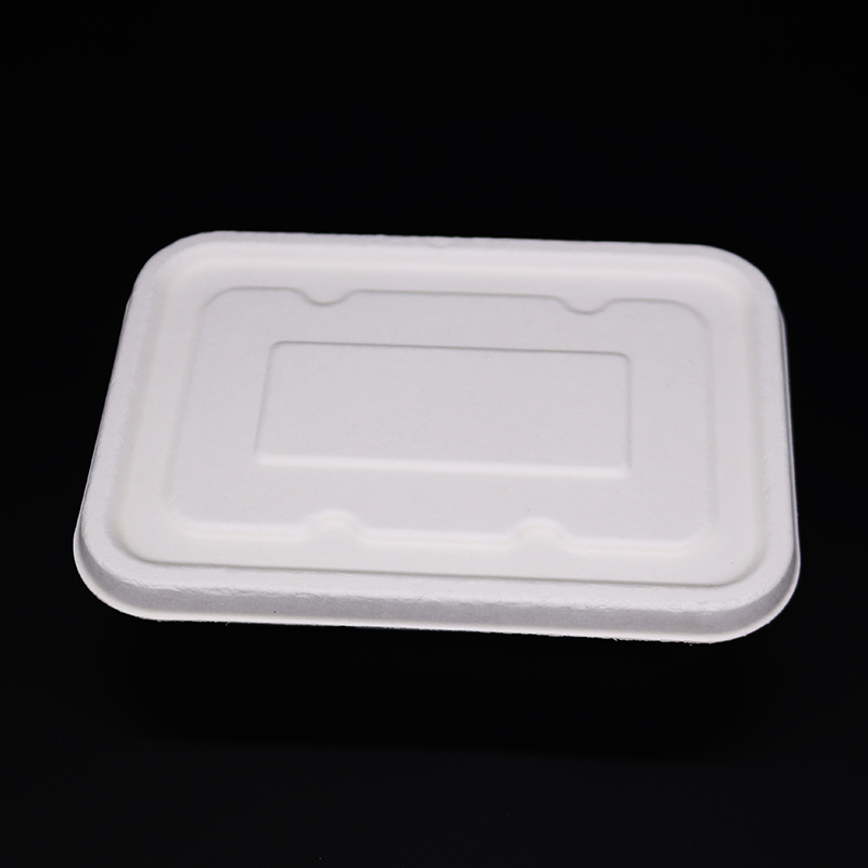 Biodegradable Sugarcane Bagasse Disposable Takeaway Food Tray with Lid