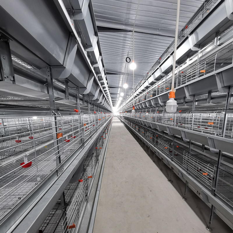 Big Size 85*62.5*50 Cm Broiler Chicken Cage Baby Chick Used