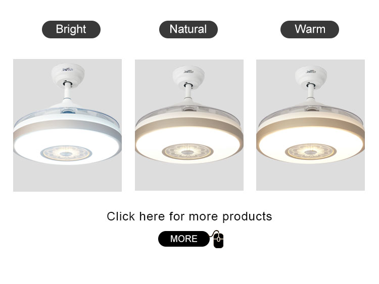 Multi Color Night Light Ceiling Fan with Hidden Blades and 110-240V/50Hz-60Hz AC Motor