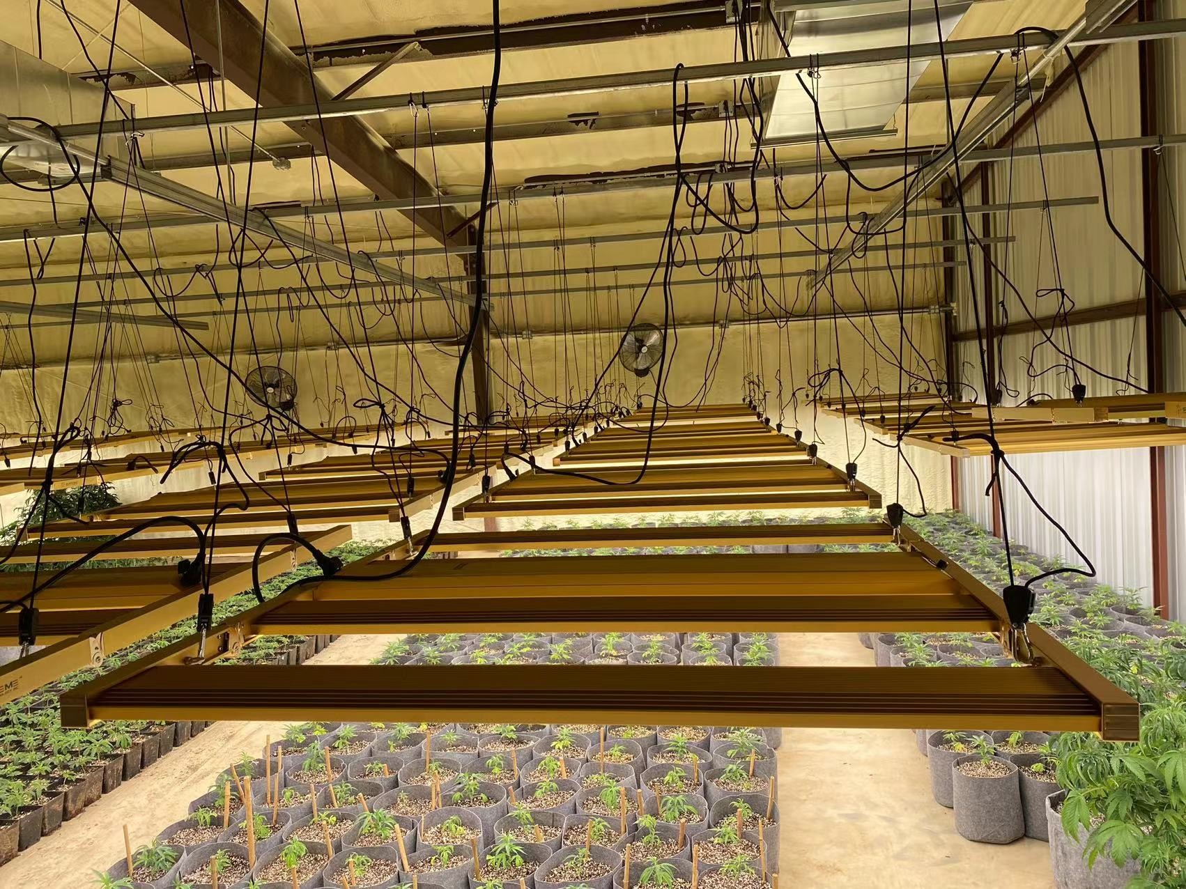 Marijuana Growing Supplemental LED Grow Lights With UV And IR