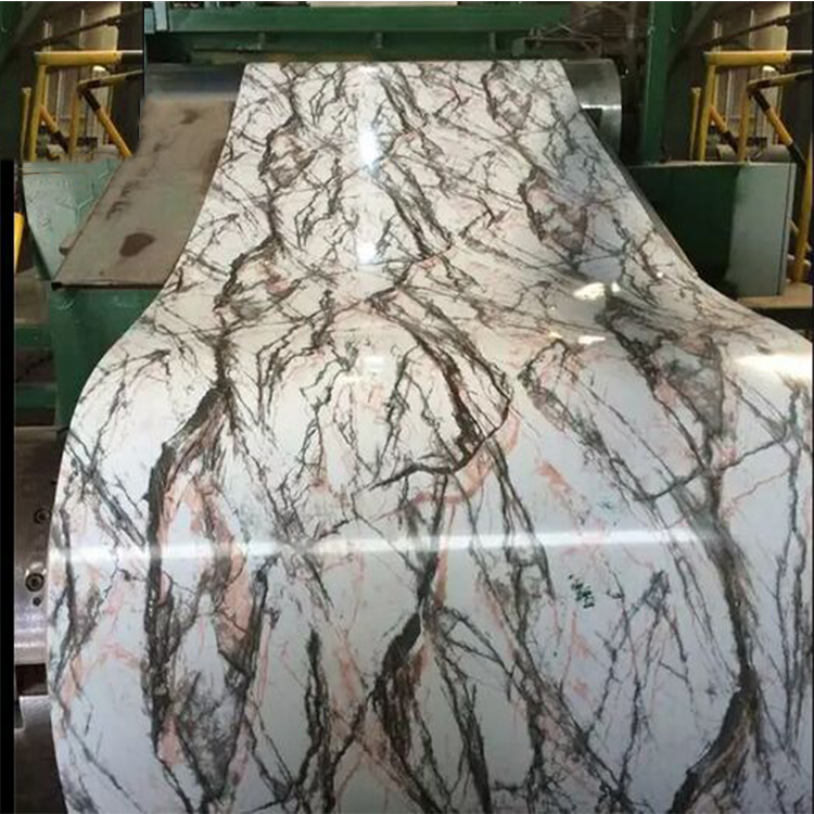 Prepainted DX51D PPGI Steel Coil 1000mm 1250mm 1500mm Width Q195 Q345