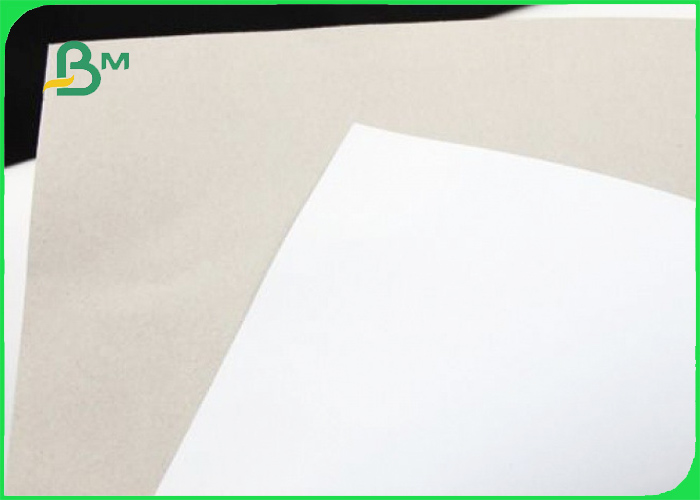 230gsm 250gsm GD2 White Coated Duplex Board Grey Back For Envelope 60 x 75cm