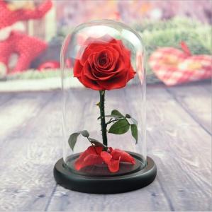 Buy cheap beauty and the beast roses preserved roses in glass dome rose for lover