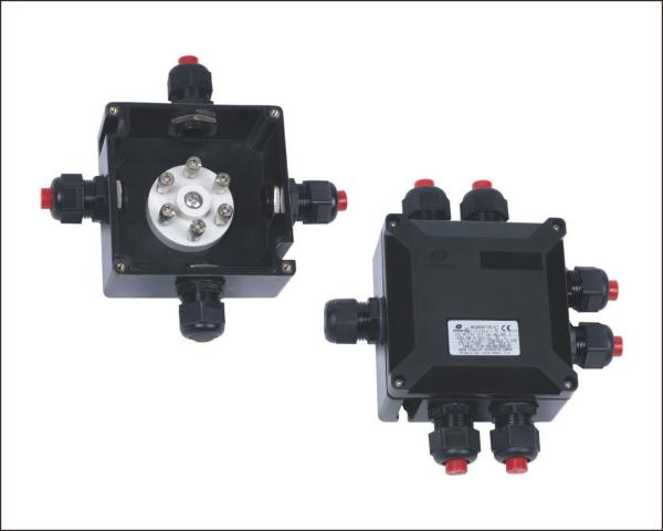 BXJ8050-20/6 Series Explosion Proof Junction Boxes Stainless Steel IP65