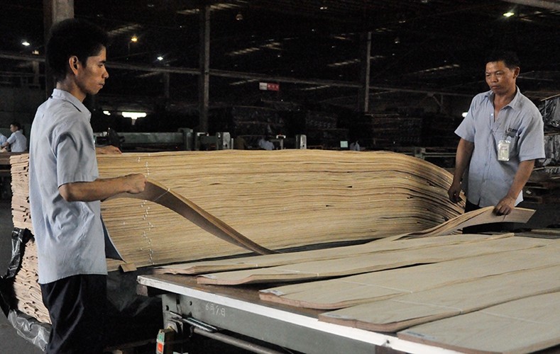 Natural Steamed Beech Veneer Wrapping Vertical Grain Veneer Excellent