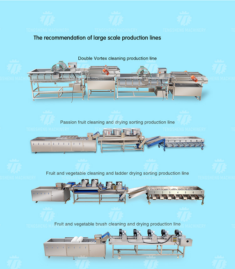 3KW 50HZ Fruit And Vegetable Processing Line Washing Sorting Machine