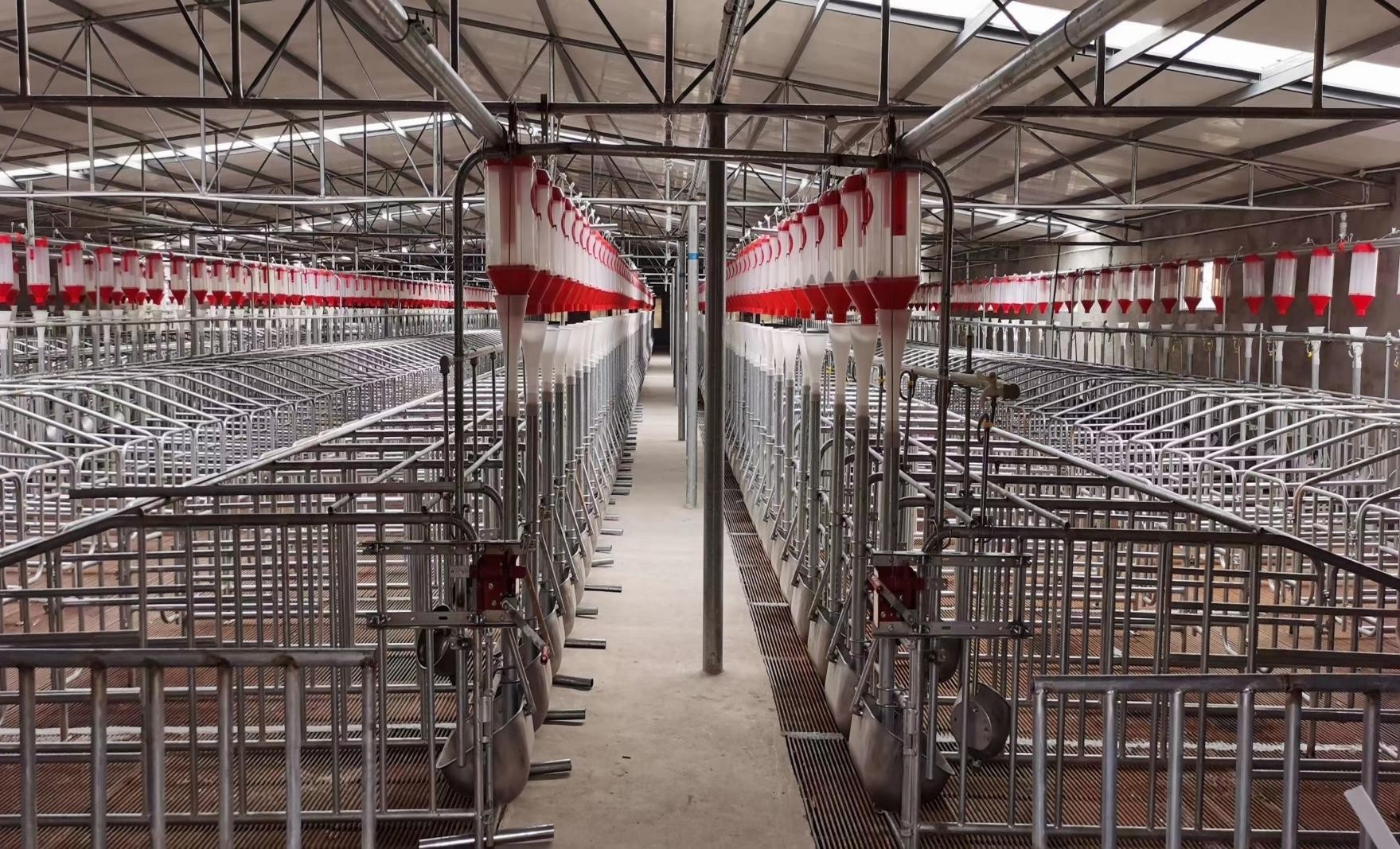 Customizable Sow Farrowing Crate Sow Cages