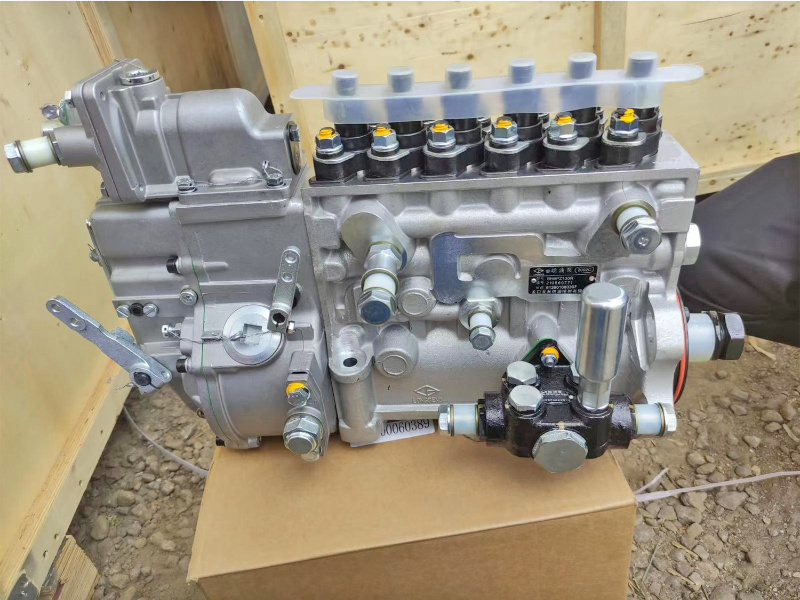 Shacman F3000 Truck Part Wp12 Engine Fuel Injection Pump Assembly 612601080397