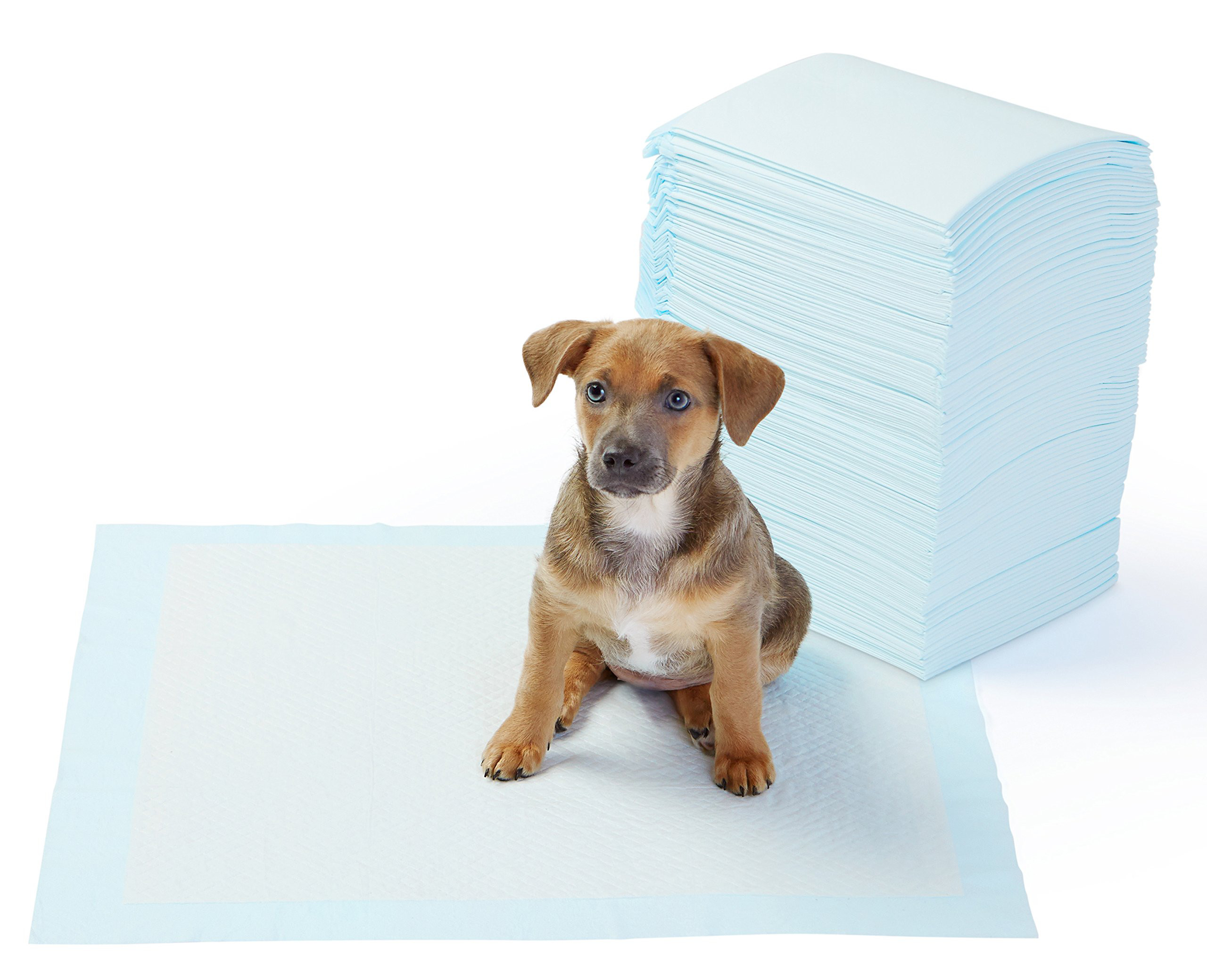 ISO Soft Cotton 600ml Pet Underpads Breathable Leakproof PE Film