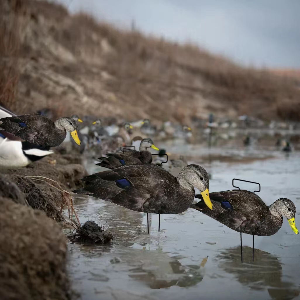 Waterproof Plastic Black Duck Silhouette Decoys for Hunting Custom Multiple Style