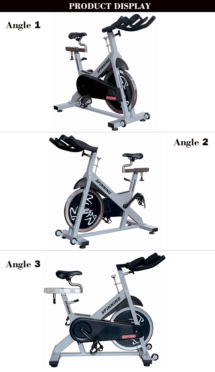 Professional Magnetic Gym Master Movable Proform Spin Bike With Dip Handle