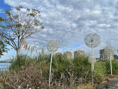 Outdoor Metal Dandelion Garden Sculpture Art Led Motif Light Decorative
