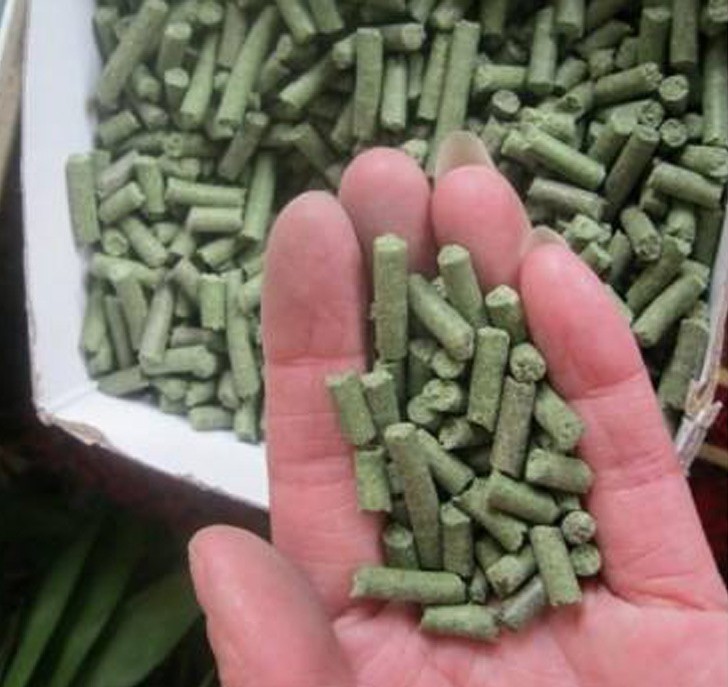feed pellet machine