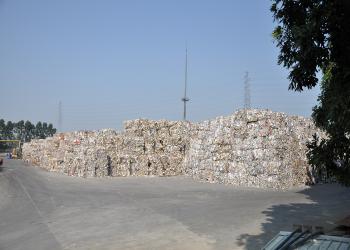 New Bamboo Paper Co., Ltd