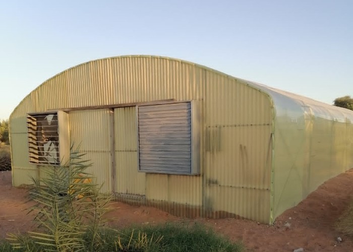 Wave Plate Heavy Duty Polytunnel Plastic Head Roof Yellow Film Vegetable Growing