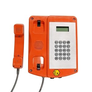 Free Dial IP66 Explosion Proof Keypad Telephone