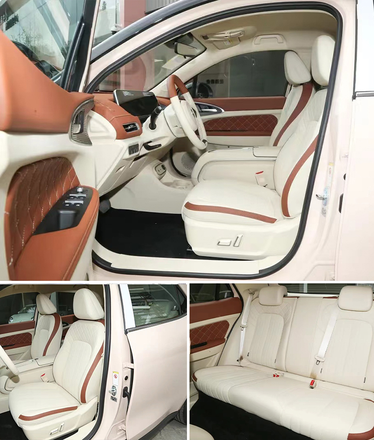 Electric Parking Brake 2024 Great Wall Ora Good Cat Car with Car Entertainment System