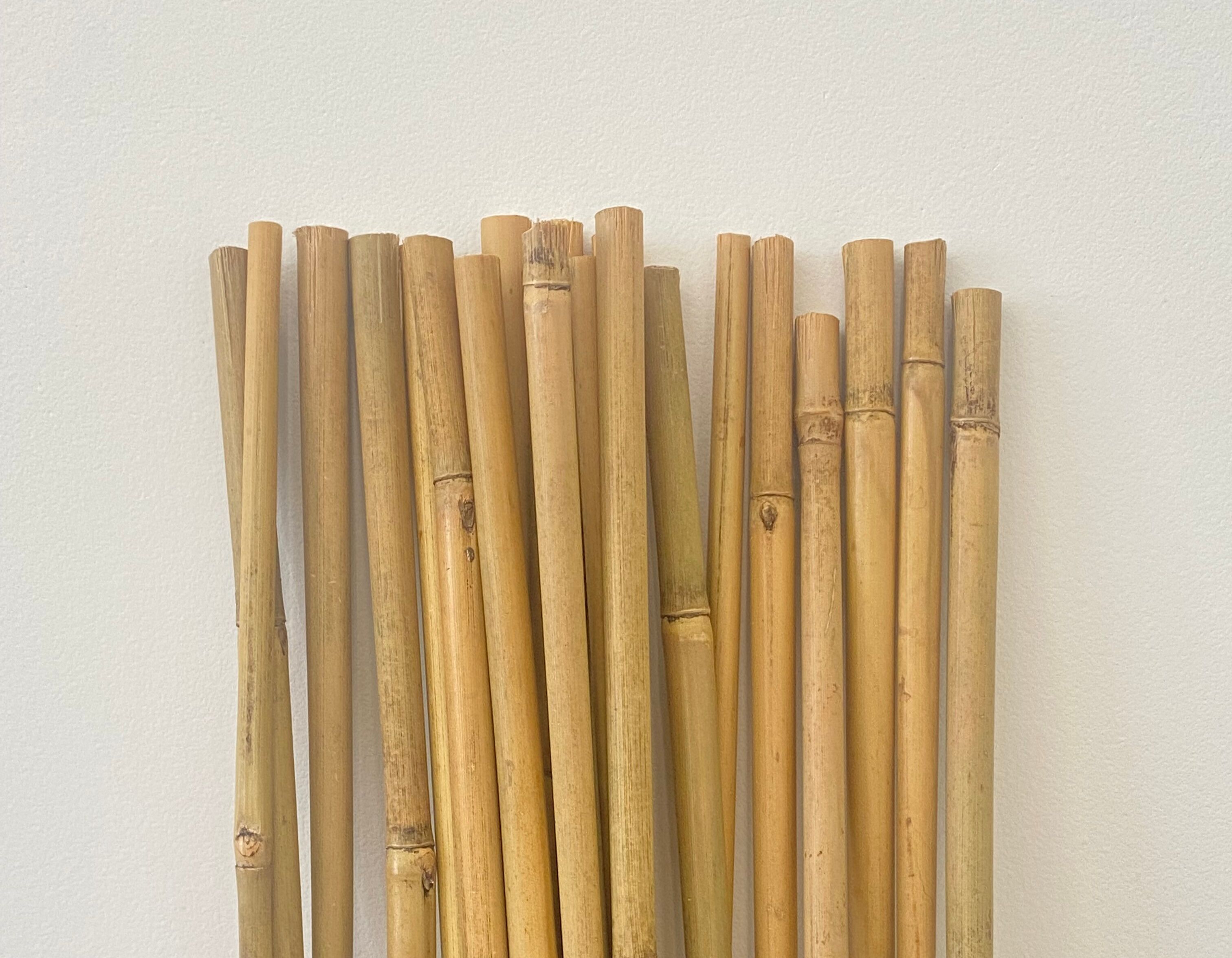 Eco-Friendly Bamboo Poles Toamto Beans Potted Plants for Indoor and Outdoor Plants