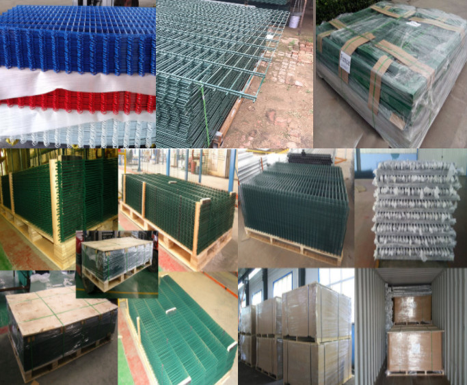 High Strength Q235 Galvanized Double Loop Fencing PVC Coated 868 Mesh Fencing