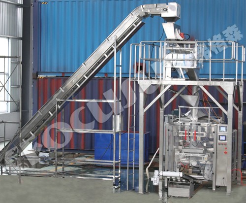 Efficiently Pack 5000kg Tube and Cube Ice with Fully-Automatic Ice Packing Machine