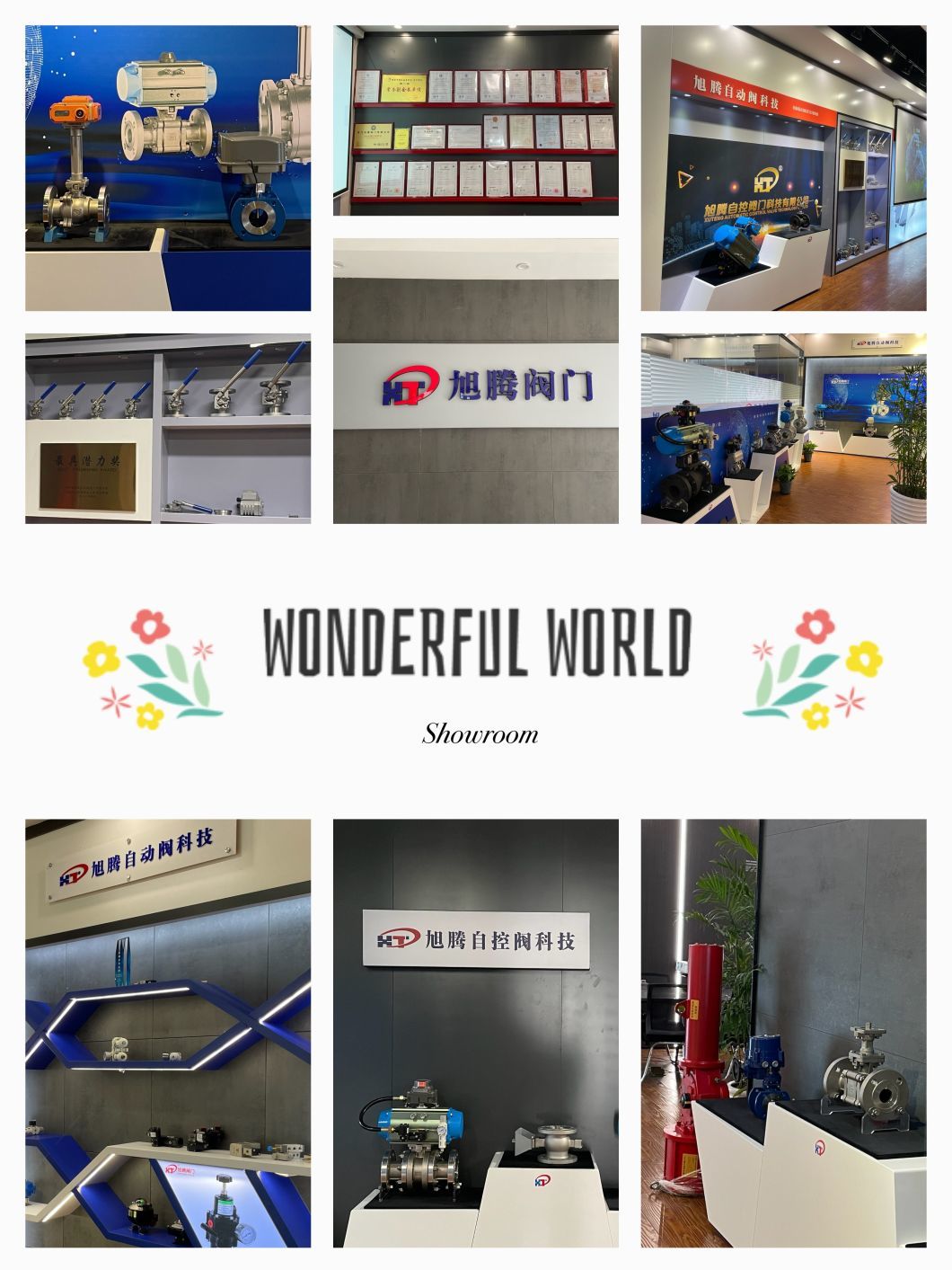 Cast Ductile Iron Flanged Butterfly Valve/Check Valve/Air Valve/Ball Valve/ Rubber Resilient Gate Valve