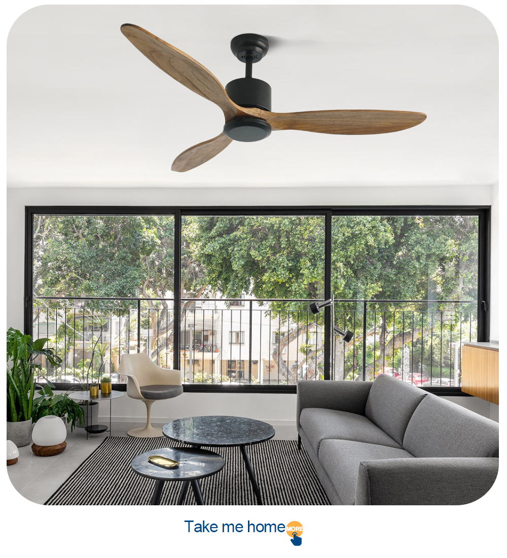 ceiling fan