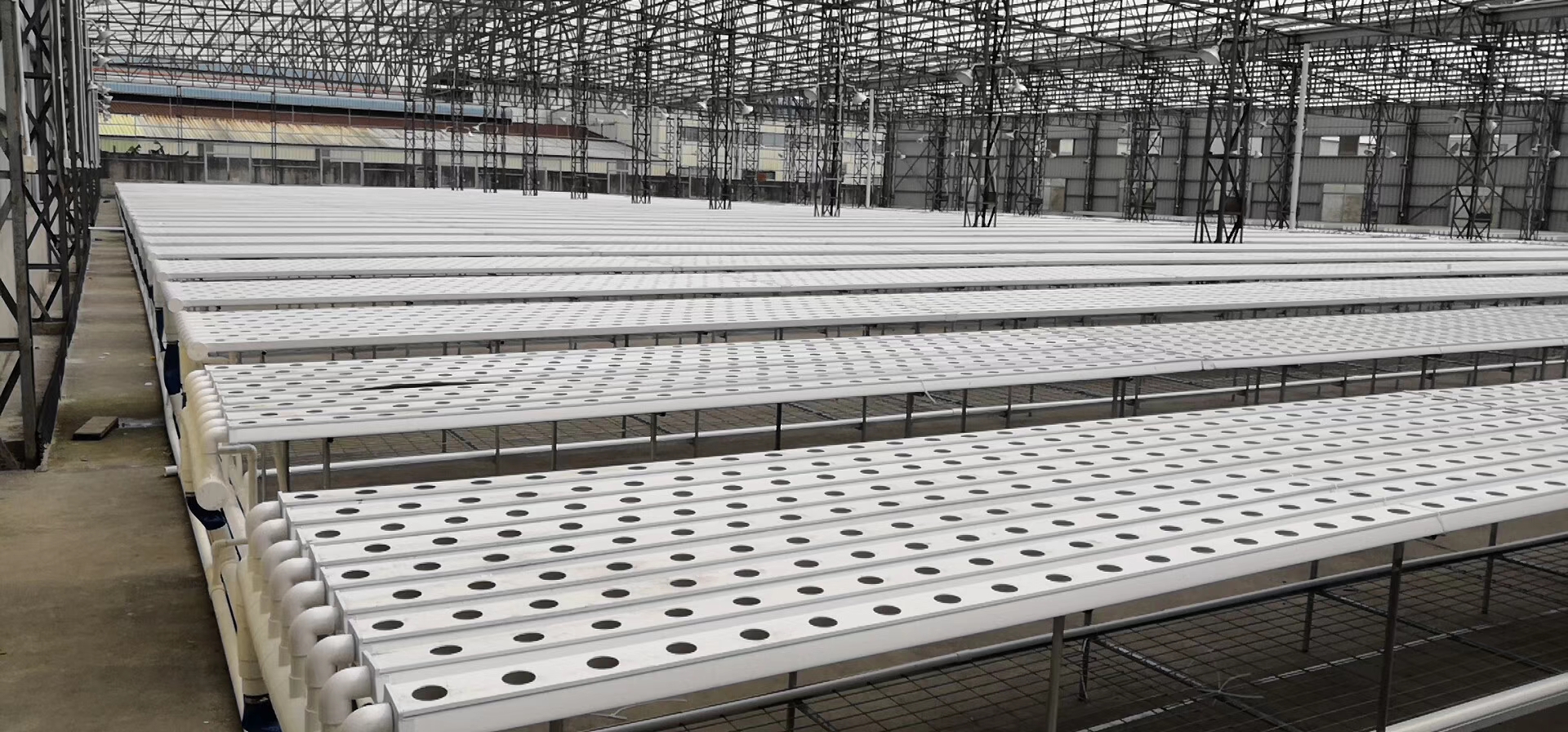 100mm*50mm Eco-friendly Plastic Tube for Hydroponic Vegetable Cultivation in Aquaponics