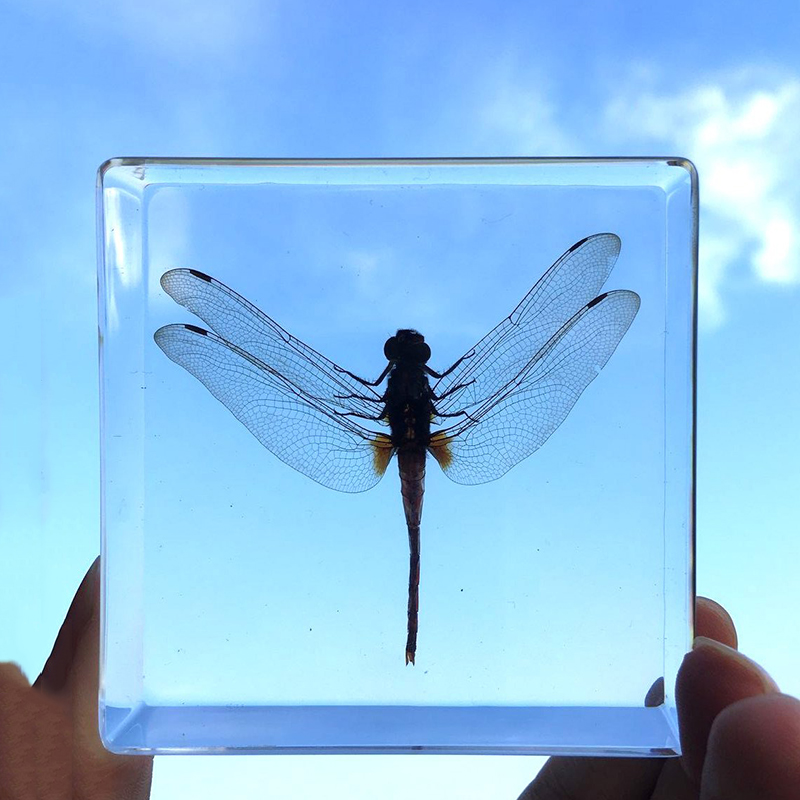 cubic Acrylic resin paper weight with custom embedding inside