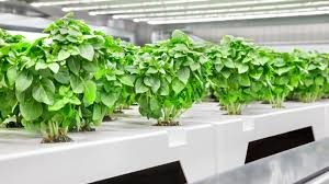 Growers Republic Greenhouse LED Grow Lights 2.6μmol/J PPE Indoor LED Grow Light Dimming 320W