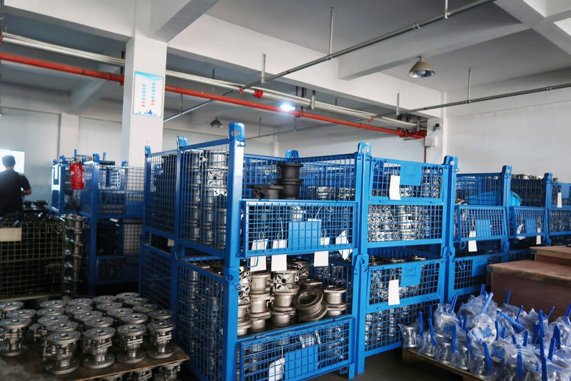 DIN F4 Rising Stem Gate Valve SS304