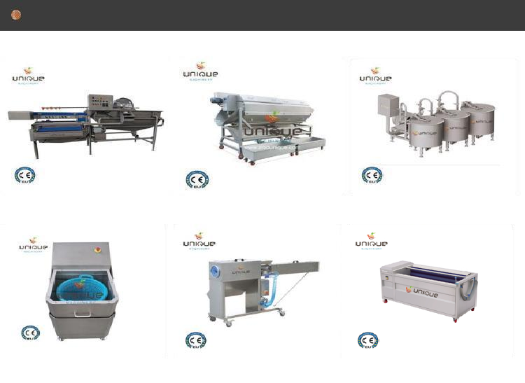 Vegetable Washing Machine 2200 KG for Leafy Greens Cutter and Commercial Fruit Salad