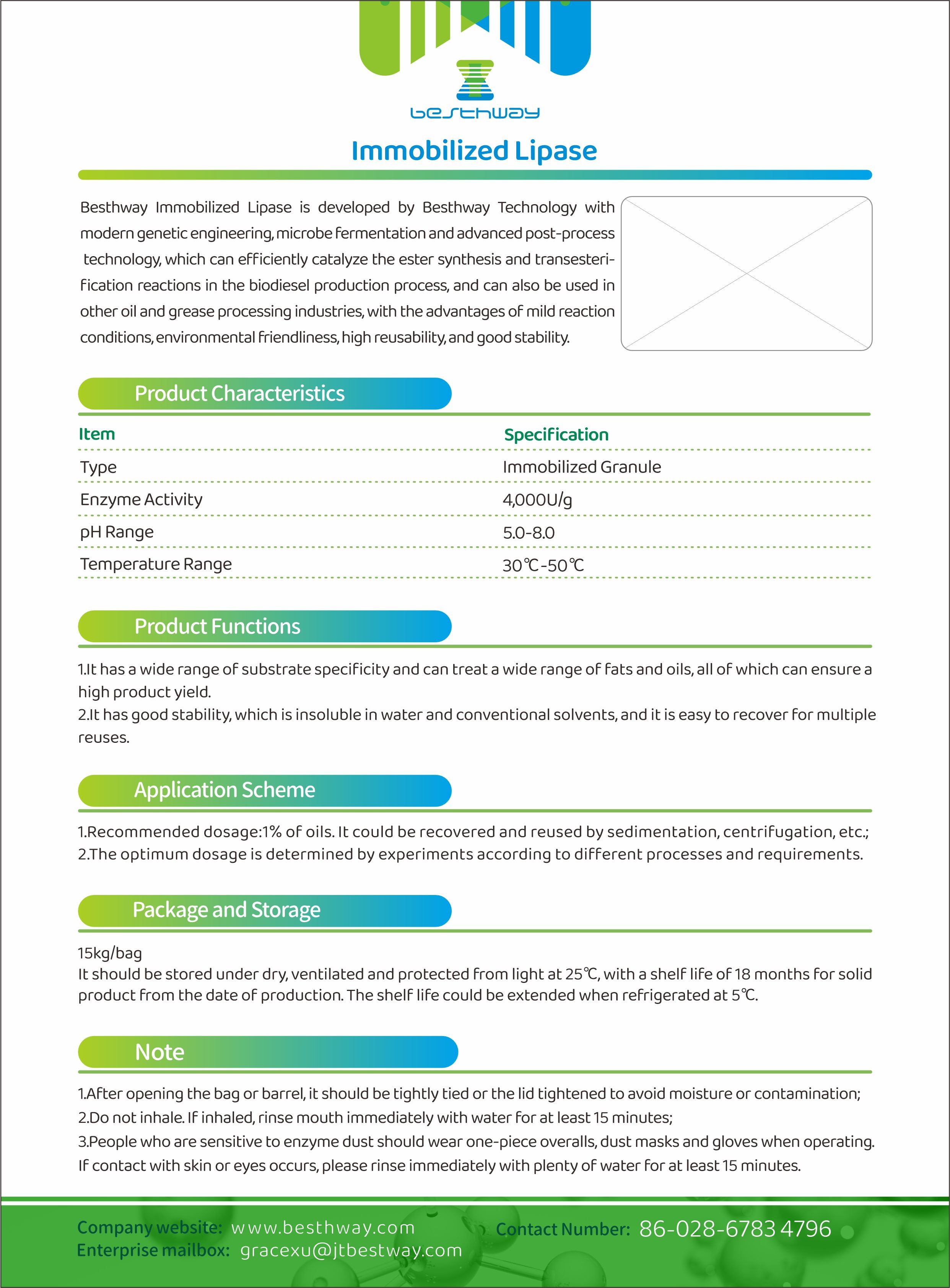 Immobilized Lipase, Industrial Enzyme, Bioenergy Enzyme