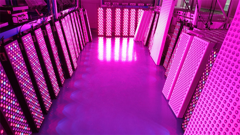 Custom 8 Wavelengths Blue Light Therapy Panel Post Exercise Light Therapy Panel
