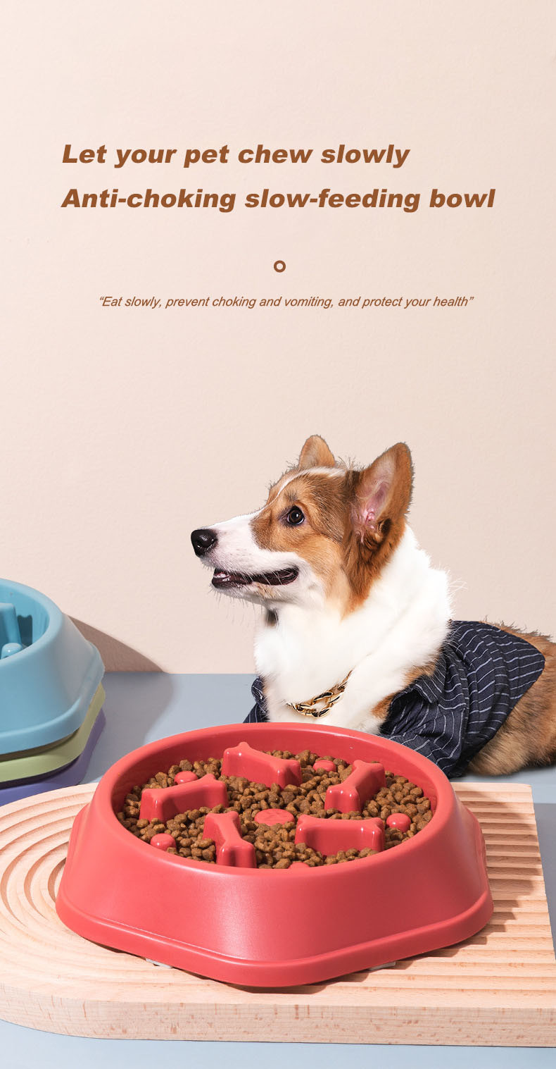 Pet PP Bone Shaped Slow Food Bowl Easy To Rinse Small And Medium Sized Dog Bowl