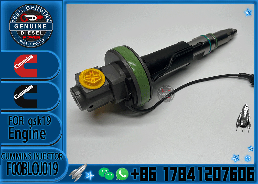 Common Rail Engine Accessories Diesel Injector 4964172 F00BLOJ019 F00BLOJ013 FOR QSK38/50 n F00BLOJ018