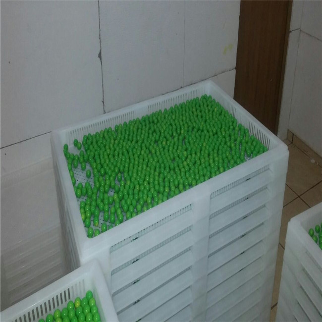 Copper Boxes Capsule Filling Machine Parts Softgel Capsule Making Machine