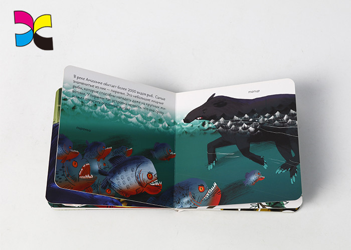 Baby Or Kids Book Printing With Saddle Stitching Varnish Long Shelf Life