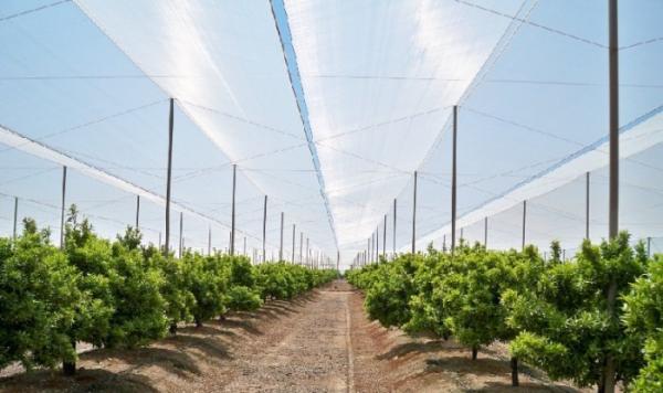 Agriculture Horticulture Vegetable Science, Crop-Protection-Net, Pest Management