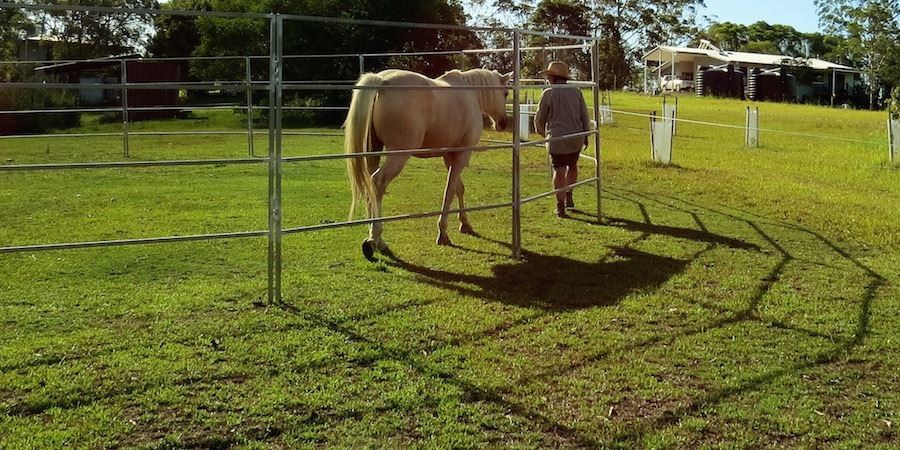 Australia Hot dipped galvanized 1.8m height livestock steel horse fence panels