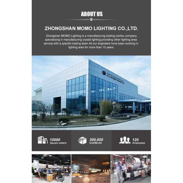 Custom Alabaster Wall Sconce 220mm x 275mm LED 110V-240V