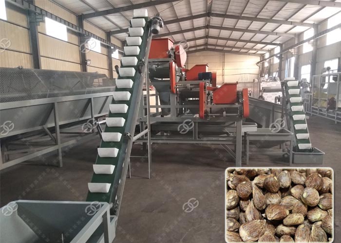 Palm Kernel Nut Cracking Machine